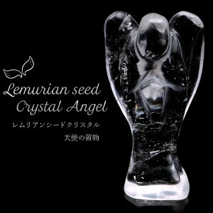 AV[h Vg q[O GWF VR  VR uW oC[AY Xs`A NX^  1  ̓ 蕨 Mtg v[g