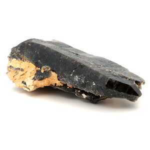 I  |Cg  RȎY 912g VR p[Xg[ 1_ Morion  ̓ 蕨 Mtg v[g