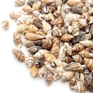 Lk p[c W tgRKC 10g VF ޗ   nhCh H VR L f L 50O ̓ 蕨 Mtg v[g