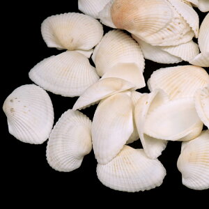 Lk p[c W T{EKC(tlKC) 30g VF ޗ   nhCh H VR L f L 15O ̓ 蕨 Mtg v[g