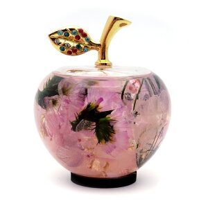 n[oE  u KX NX^ ~jTCY  VR }[   N ь Abv t  K K^ Mtg v[g 蕨  ObY V