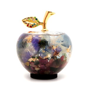 n[oE  u KX NX^ ~jTCY  VR }[   N ь Abv t  K K^ Mtg v[g 蕨  ObY V