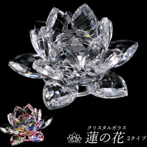 @̉ u NX^KX TLb`[ J^ Ce ObY  p[Xg[ TCY ̓ 蕨 Mtg v[g