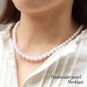 VRWp[ ^lbNX Eh^ AA zCg 8mm 40cm 6 a  w  LO 蕨 P[Xt ̓ 蕨 Mtg v[g