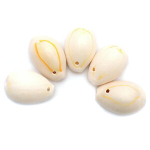 Lk p[c W nir_J 5 MTCY  VF ޗ   nhCh H VR L f ԕٕ ̓ 蕨 Mtg v[g