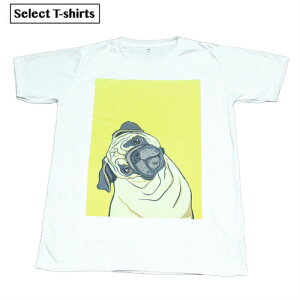 yz Aj}vgTVc pO zCg Y  킢  񂿂 U ybg fUC W[N L[g CX^ CXg tHg  XP[^[