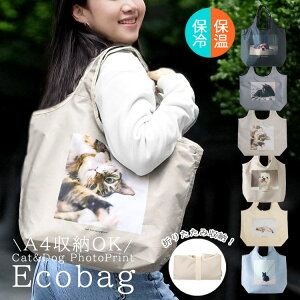 GRobO ܂肽 RpNg ۗ ۉ 􂦂 WJS e v ^ }} 񂰃obO  | g[gobO ۗobO }`L t@Xi[ Wbp[  Aj}