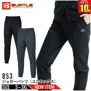 ySi|Cg10{zy2025NŁz o[g BURTLE WK[pc 853 jZbNX ƕ ƒ H~ Xgb` z  ebNEFA