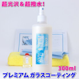 ★現場のプロが愛用！★楽天1位獲得！プレミアム ガラスコーティング Ver2 300ml【送料無料】【全メーカー対応】★施工実績ブログで確認！ ガラスコーティング剤 超光沢＆超撥水！ 関連⇒ カーワックス セラミックコーティング剤 車 カルナバ 新車 バイク one-zero 人気商品