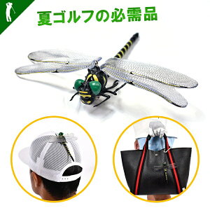 St Ij}  ɂ tBMA A g{ 悯 ΍ Sst Xgbvt Lbv O  XYo`  Lv Q golf St̕K