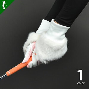 St O[u fB[X nhEH[}[ h  g fB[Xp ~gѕ݂̗ǂt[XnStnhEH[}[(CG-LG2508)