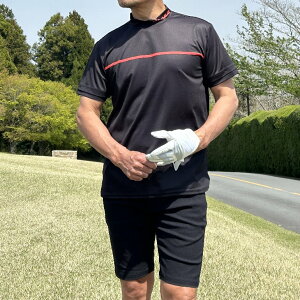 ypVTv݌ɏzAEgbg/CfUCbNlbNStVc/ubN/LTCY(S-S885972)Y ݌ɏ Tv ԕis T^[g CG-HT5003S