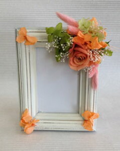 yztHgt[ IW vU[uht[ vU ̓ Mtg 