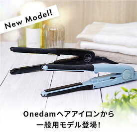 【お買い物マラソン ポイント10倍進呈！！】《公式店》ワンダム 一般用 スリムイオンアイロン 11mm ストレート 前髪 波巻き メンズ 60℃～200℃ マイナスイオンプレート 自動電源オフ シリコンカバー付属 AHI-1100C【1年保証】