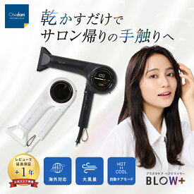 【公式店】ワンダム 最新 ヘア ドライヤー 大風量 海外対応 サロン プロ 折り畳み プラズマケア マイナスイオン 静電気抑制 （ブラック/ホワイト）BLOW+ HBD-702F Onedam【1年保証】