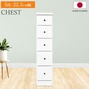 X`FXg \tBA 5i 22.5cm s40 `FXg [I   [ Ԏ[ o rO  Lb` ʏ Eߏ o[ I 5i  Vv _ { 