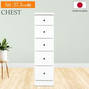 X`FXg \tBA 5i 27.5cm s40 `FXg [I   [ Ԏ[ o rO  Lb` ʏ Eߏ o[ I 5i  Vv _ { 