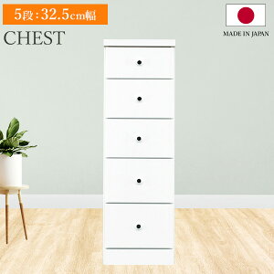 X`FXg \tBA 5i 32.5cm s40 `FXg [I   [ Ԏ[ o rO  Lb` ʏ Eߏ o[ I 5i  Vv _ { 