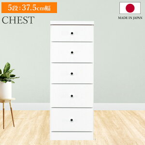 X`FXg \tBA 5i 37.5cm s40 `FXg [I   [ Ԏ[ o rO  Lb` ʏ Eߏ o[ I 5i  Vv _ { 