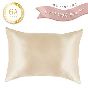 《2枚セット》シルク 100% 枕カバー 43×63cm 16匁 6Aシルク シルク枕カバー シルクまくらカバー まくらカバー 絹 絹100% 封筒 封筒型 ピローケース 髪 ヘアケア 保湿 摩擦 静電気 美髪 美容 美肌 シ