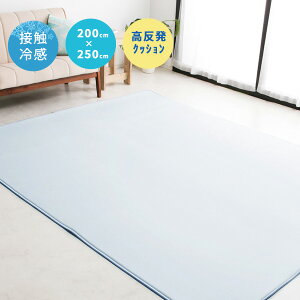 ⊴O Ђ O}bg [tXeB] 200×250cm  2.5 3  10mm E^ ڐG⊴ 􂦂 ėp O J[ybg 炳   N[ ې   ₽ ⊴ 