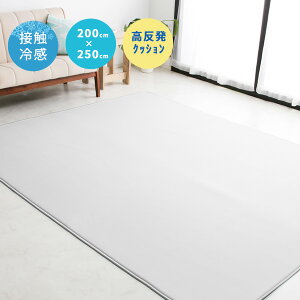 �⊴���O �Ђ��� ���O�}�b�g [�t���X�e�B] 200×250cm ������ 2.5�� 3�� ���� 10mm �E���^�� �ڐG�⊴ �􂦂� �ėp ���O �J�[�y�b�g ���炳�� ������� �� �N�[�� �ې� ���� ���� �₽�� �⊴ ��