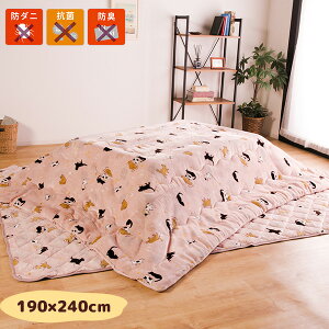 yztlnzcZbgs|zcE~zct h_j R hL R^czc2_Zbg 2`4lp 190×240cm ӂӂtlzc xzc t[X y g