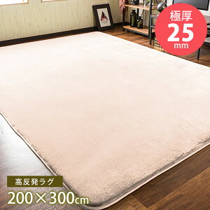 【送料無料】極厚!高反発 フランネルラグマット 200×300cm 約3畳 防ダニ 抗菌防臭加工 安心 低ホルムアルデヒド で安心安全 滑り止め 縁取り ホットカーペット対応 ラグ ラグマット カーペッ