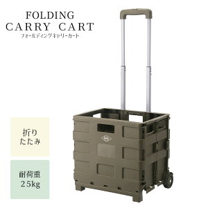 【送料無料】折りたたみキャリーカート キャリーワゴン 耐荷重25kg プラ製 プラスチック製 アウトドア お買い物 収納 軽量 ワゴン キャリー コンパクト ミニサイズ コンテナカート エコバッ