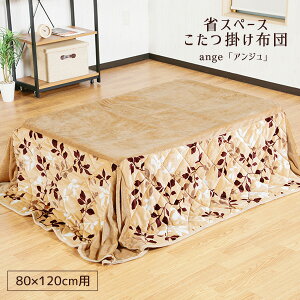 yzȃXy[Xzc 80×120cm tlzcs|zctR^czc |zc 2`4lp ӂӂtlzc xzc y g  e[