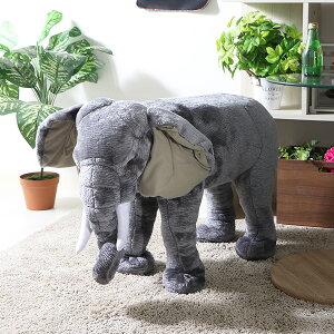 yzʂ `FAXc[ LbY  IuWF Aj}`FA fR[V G CeA v[gpi ǂ v[g vC[ 킢 Aj} 