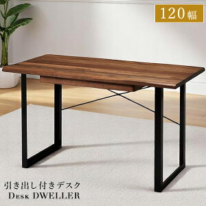 yzC fXN gDWELLERh 120cm [NfXN PCfXN ȂH ot fXN  C_XgA EH[ibg VR ICh ؐV  ؖ ؐV 