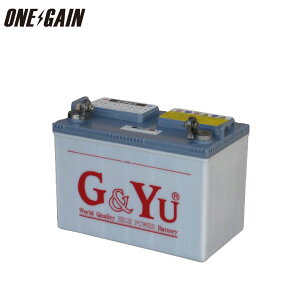 G&Yu TCNobe[ EB-65 65Ah 5ԗe Dp }W[ LsOJ[