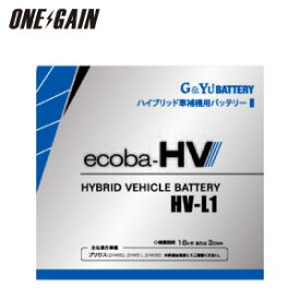 G&Yu バッテリー ハイブリッド車補機用バッテリー液式タイプ HV-L1 50Ah 20時間率容量 充電器 充放電