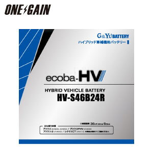 G&Yu �o�b�e���[ HV-S46B24R �n�C�u���b�h�ԕ�@�p AMG���^�C�v 36Ah 5���ԗ��e�� �[���d