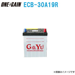 ECB-30A19R L G&Yu ecobaV[Y Yԗpobe[ [dԑΉiAChOXgbv e  24܂4km⏞