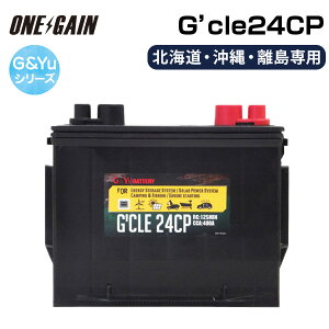 y kC pzG&Yuobe[ X^[eBOTCNp G'cle24CP HIGH QUALITY MULTI PURPOSE BATTERY LsOJ[ ԒɍœKȃTuobe[ fB[vTCNobe[