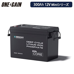 RENOGY 300AH 12V リン酸鉄リチウムイオンバッテリー Core シリーズMini リン酸鉄リチウムイオンバッテリー レノジー RBT12300LFP-M-G1サブバッテリー 車中泊 キャンピングカー 沖縄・離島不可