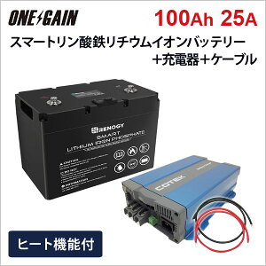 RENOGY ヒート機能付き スマート リン酸鉄リチウムイオンバッテリー 100AH 12V+高性能急速充電器CX1225【カスタマイズ設定済】+ケーブル セット 直列接続不可 沖縄・離島不可 レノジー RBT100H-CX