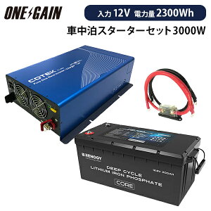 QCԒ `EX^[^[Zbg 3000W 12V RENOGY_S`ECIobe[200Ah 1 COTEK[d^Co[^[ SC3012RBT Tuobe[ VXe LsOJ[