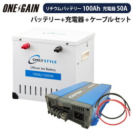 オンリースタイル リン酸鉄リチウムイオンバッテリー 1200Wh(100Ah) 12v + COTEK 高性能充電器 セットSimpleBMS内蔵 直列接続不可WB-LYP100AHA12SB + CX1250代引き不可 キャンピングカー