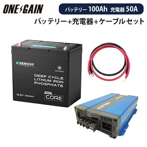 RENOGY _S`ECIobe[ q[g@\t100AH 12V COREV[Y Mini { \}[dCX1250yJX^}CYݒρz{P[u Zbg Es mW[ RBT12100LFP-H+CX125