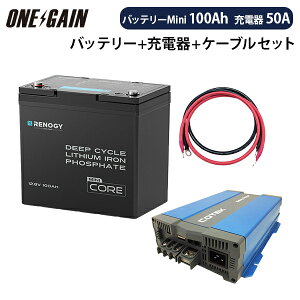 RENOGY �����_�S���`�E���C�I���o�b�e���[ 100AH 12V CORE�V���[�Y Mini �{ �����\�}���[�d��CX1250�y�J�X�^�}�C�Y�ݒ�ρz�{�P�[�u�� �Z�b�g ����E�����s�� ���m�W�[ RBT12100LFP-M+CX1250�T�u�o�b�e��