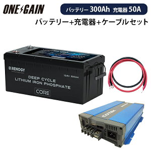 RENOGY _S`ECIobe[ q[g@\t300AH 12V COREV[Y { \}[dCX1250yJX^}CYݒρz{P[u Zbg Es mW[ RBT12300LFPSH+CX1250T