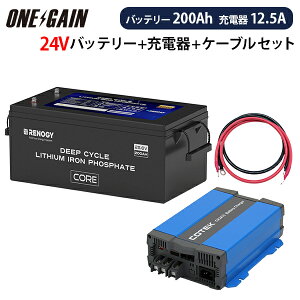 RENOGY _S`ECIobe[ q[g@\t200AH 24V COREV[Y { \}[dCX2415yJX^}CYݒρz{P[u Zbg Es mW[ RBT24200LFPSH+CX2415T