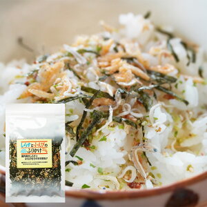 Y炷Əюgp 炷Əт̂ӂ肩 70g 1/2/3 ٓ т̂ ӂ肩  CV Gr  炷 VX [ 