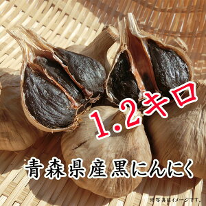  YZ̏nɂɂ ɂɂ200g×6(1.2L)  XY ɂɂ jjN ɂɂ R_ n N |bL K[bN yɂɂ