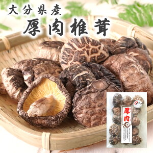 啪Y  ő 60g  啪  E_ƈYF  ő   VC^P [ 