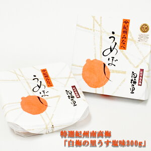 Mtg  ~ IIB썂~u~̗300gv(jp  Y IB ̂Ȃ ߂ڂ ~  Zbg Е  ~ 