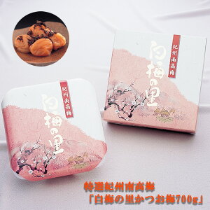 Mtg  ~ IIB썂~u~̗700gv(~jp ~ Y IB ߂ڂ ~  Zbg Е ~ |Cg